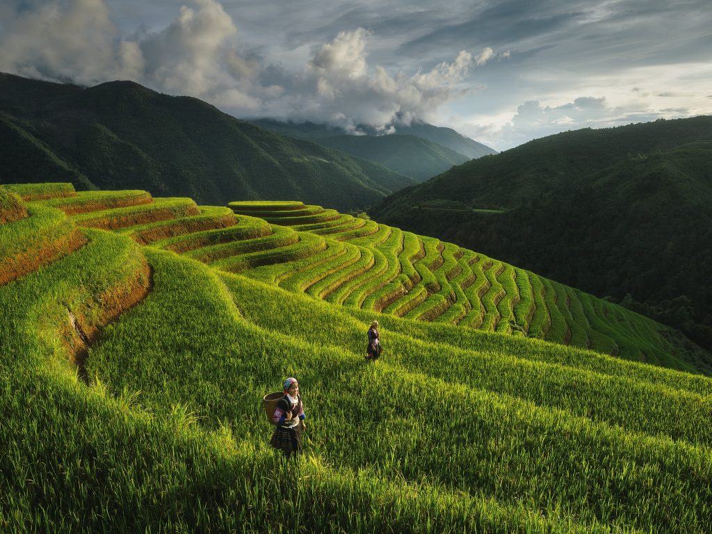What’s Next For Indochina Travel in 2026?